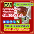 Manufacturer Supply Raw Material CAS 49851-31-2 2-Bromo-1-p