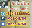 Buy 5cladb 5cladba adbb ADBB adb-butinaca powder precursor