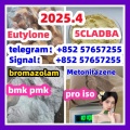 119276-01-6 protonitazene 14188-81-9  2732926-24-6  iso