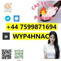 Buy Procaine Online – CAS 59-46-1 with Fast & Safe Shipping