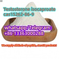 Testosterone isocaproate cas15262-86-9
