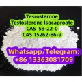 Testosterone Steroid raw materials CAS 58-22-0 Testosterone
