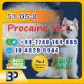 best selling! 51-05-8 Procaine HCl