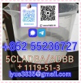 CAS 1119-51-3 and 5cl Supplier
