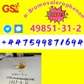 Affordable 2-Bromovalerophenon CAS 49851-31-2