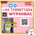 Procaine HCl Supplier – CAS 51-05-8, Direct Factory Export