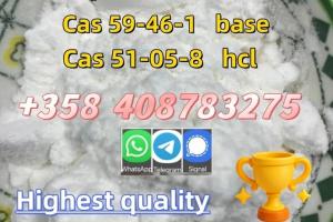 Good Quality Of 59-46-1 Procaine Base Factory Manufacturer Supplier