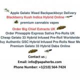 Pineapple Express THCA Flower UK